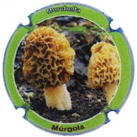 XIC D'ALFONS X. 206914