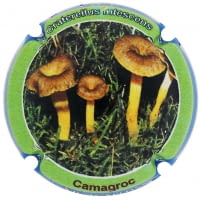 XIC D'ALFONS X. 207747