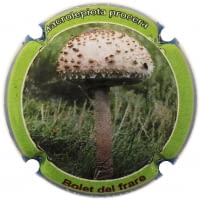 XIC D'ALFONS X. 212593