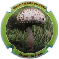 XIC D'ALFONS X. 212591