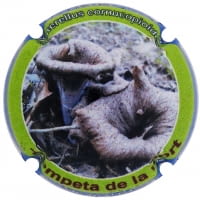 XIC D'ALFONS X. 208592