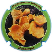 XIC D'ALFONS X. 211960