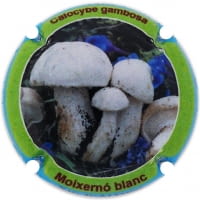 XIC D'ALFONS X. 213887