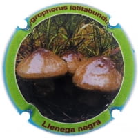 XIC D'ALFONS X. 215501