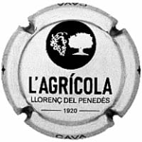 COOP. AGRICOLA LLORENÇ DEL PENEDES X. 251842