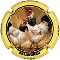 BALANDRAU X. 219216