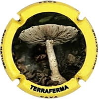 TERRAFERMA  X. 219210