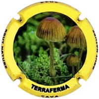 TERRAFERMA  X. 219211