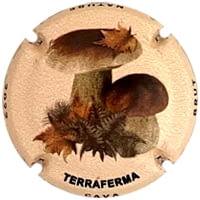 TERRAFERMA  X. 219642