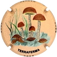 TERRAFERMA  X. 219643