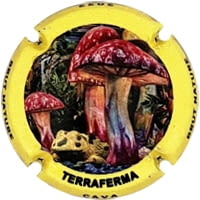 TERRAFERMA  X. 219209