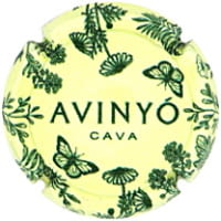 AVINYO X. 241021