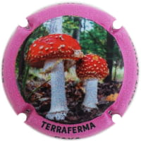 TERRAFERMA  X. 232586
