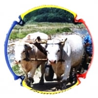 BS BASTONERS X. 149339 (RUMANIA)