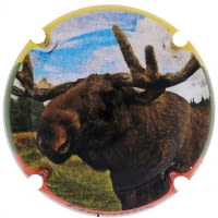 BS BASTONERS X. 207431