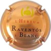 RAVENTOS I BLANC V. 11000 X. 34107 (EDICIONS ESPECIALS)