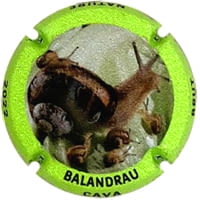 BALANDRAU X. 219650