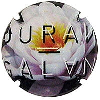 DURAN GALAN X. 150476 ROSAT