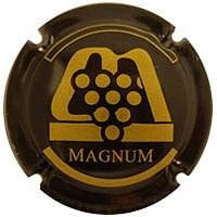 CELLER MARIOL V. 4827 X. 20214 MAGNUM