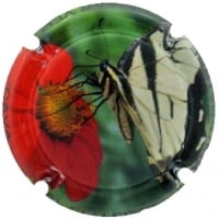 EL CELLER VELL X. 171857