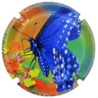 EL CELLER VELL X. 176048