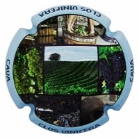 CLOS VINIFERA X. 144884