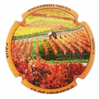 CLOS VINIFERA X. 150552