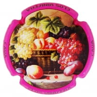 CLOS VINIFERA X. 137731