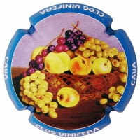 CLOS VINIFERA X. 137730