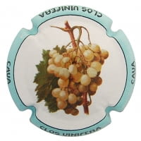 CLOS VINIFERA X. 132423