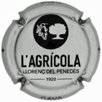 COOP. AGRICOLA LLORENÇ DEL PENEDES X. 252484