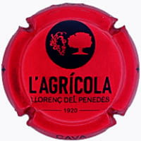 COOP. AGRICOLA LLORENÇ DEL PENEDES X. 253662