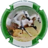 CASTELL DE BAVIERA X. 132259