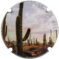 CAN MANELICH X. 179246