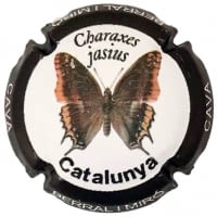 BERRAL I MIRO X. 163437