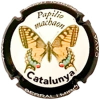 BERRAL I MIRO X. 165660