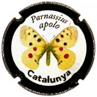 BERRAL I MIRO X. 172975