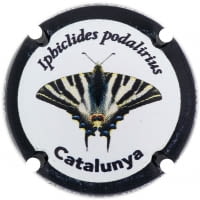 BERRAL I MIRO X. 212083