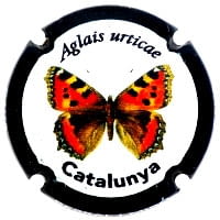 BERRAL I MIRO X. 218526