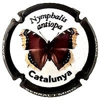 BERRAL I MIRO X. 223092