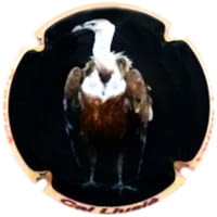 CAL LLUSIA X. 157557