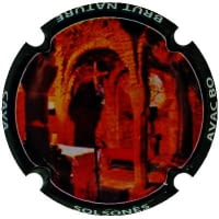 AVAC BO X. 260799 (SOLSONES)