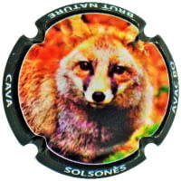 AVAC BO X. 260800 (SOLSONES)