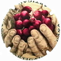 ARTIGAU X. 233646