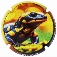 TORELLO X. 260080