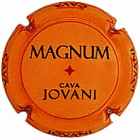 JOVANI VINS X. 247316 MAGNUM