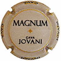 JOVANI VINS X. 247317 MAGNUM