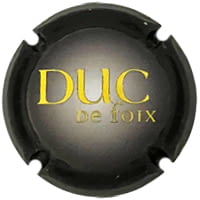 DUC DE FOIX X. 253472