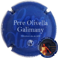 PERE OLIVELLA GALIMANY X. 233365