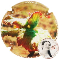 PERE OLIVELLA GALIMANY X. 239235